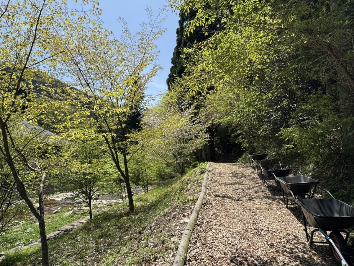 セラピーロードの風景