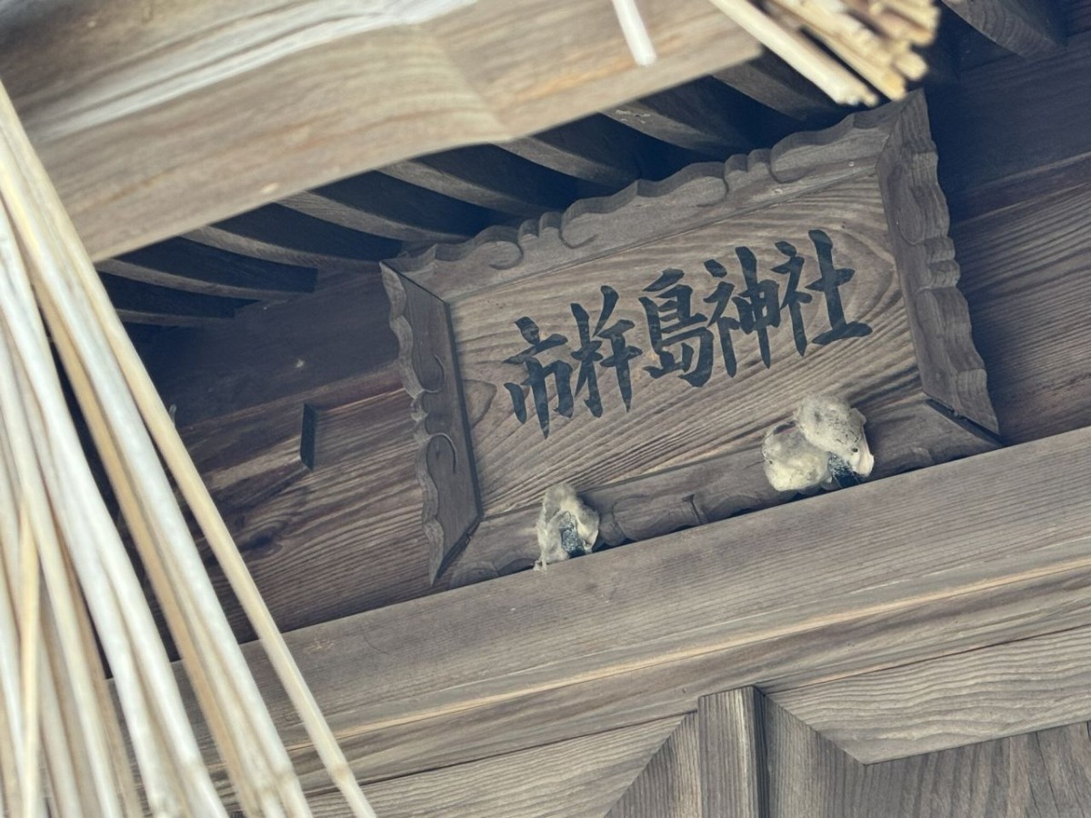 松江市浜佐田町にある『浜佐田児童公園』の市杵島神社