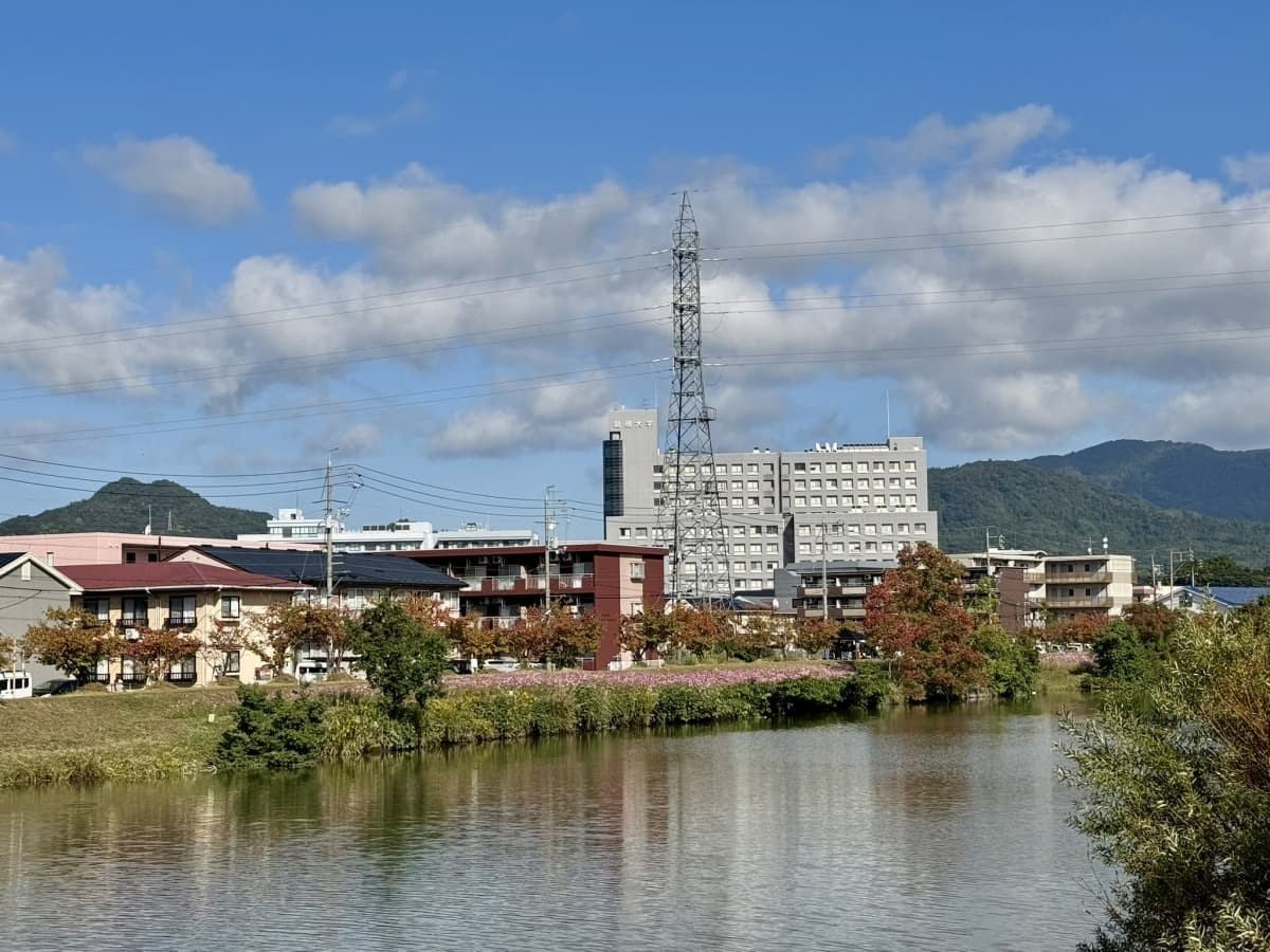 楽山橋から見た朝酌川沿いのコスモス畑