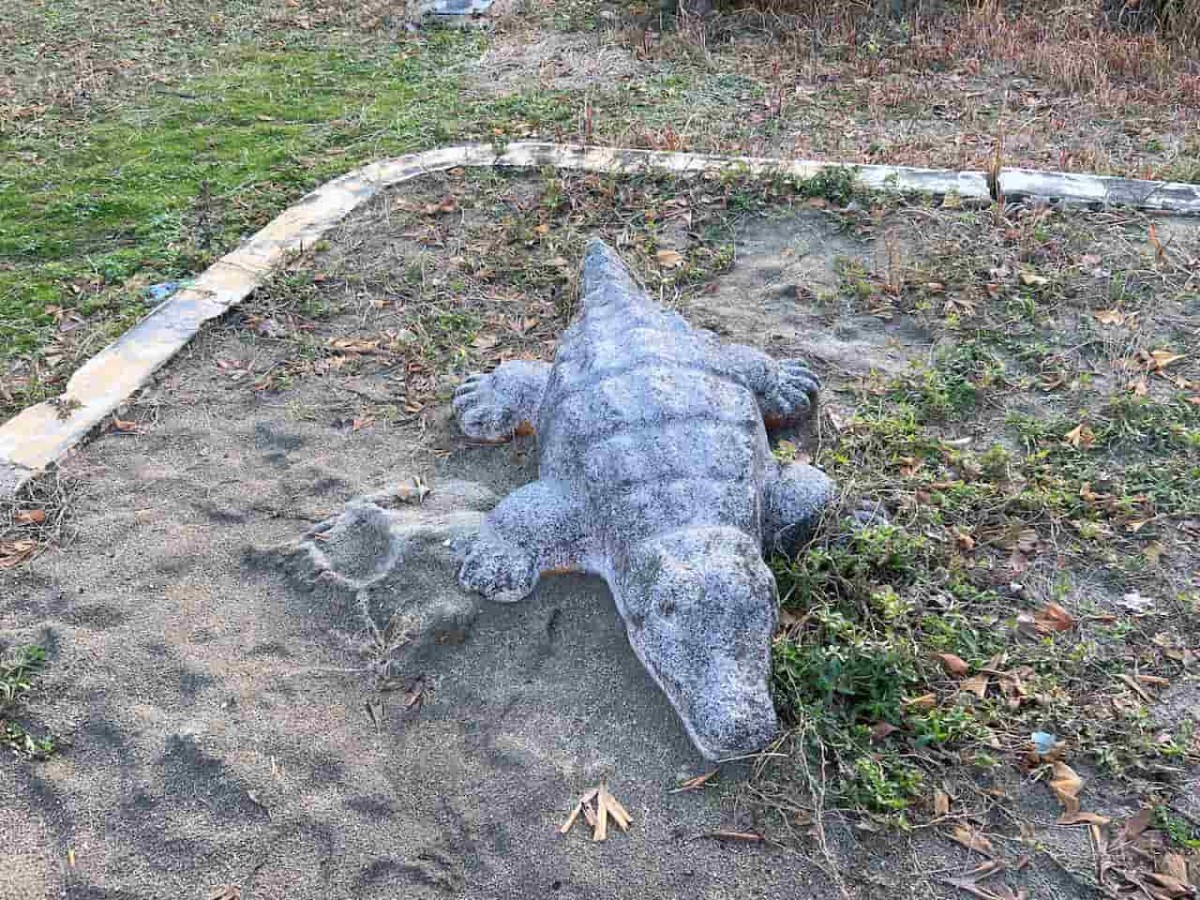 リニューアル前の冨士見2号公園にいたワニ