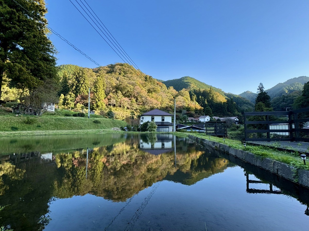 周辺の風景