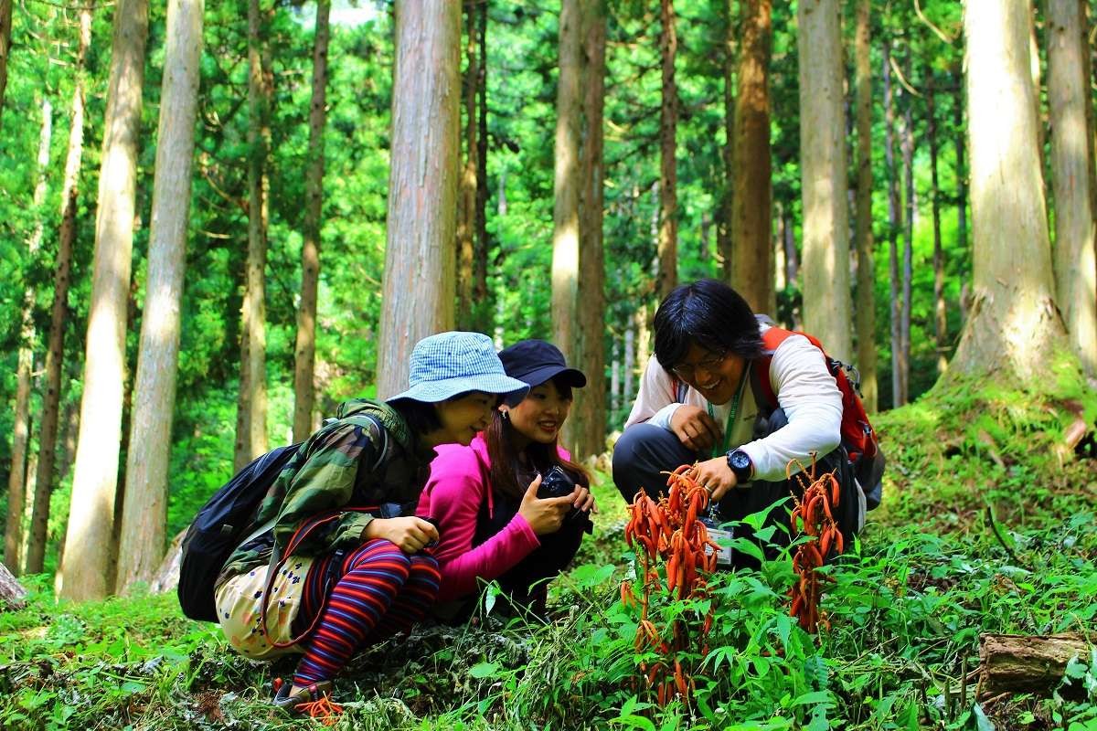 森林セラピーの開催中の様子