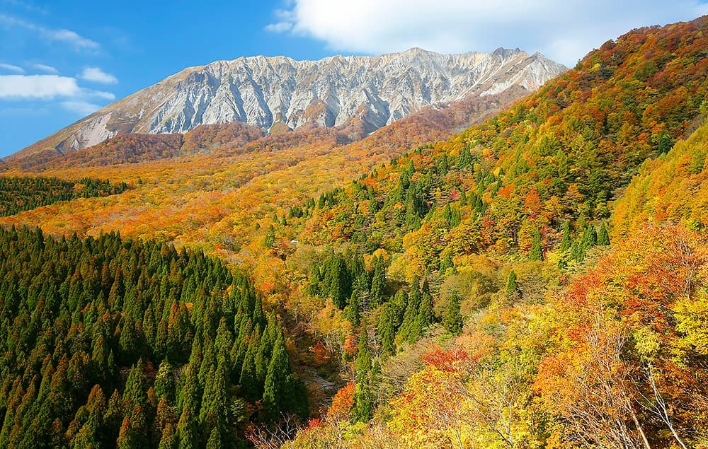 紅葉に色づく大山