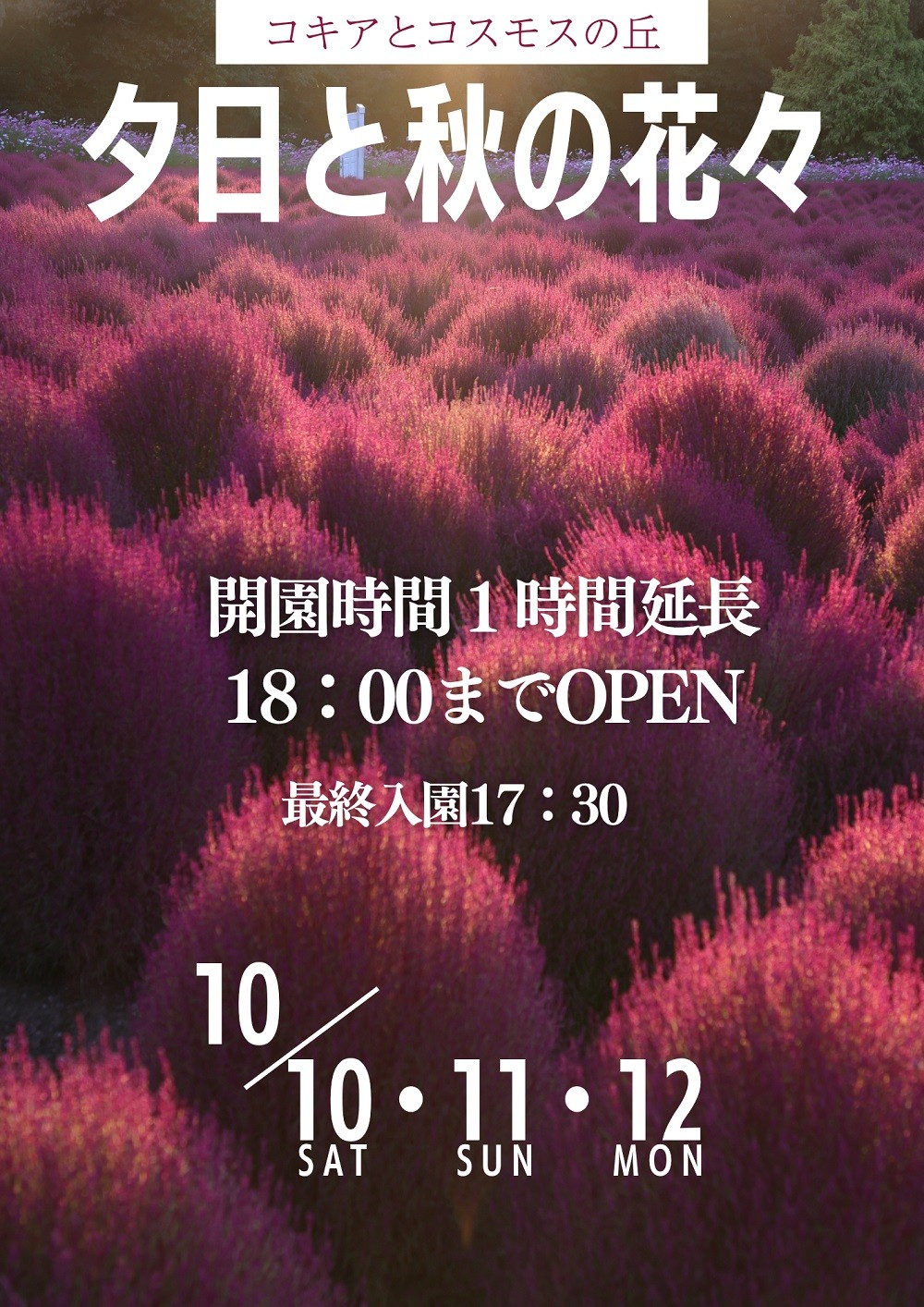 広島県世羅町『Flower village 花夢の里』の特別開園に関する告知画像