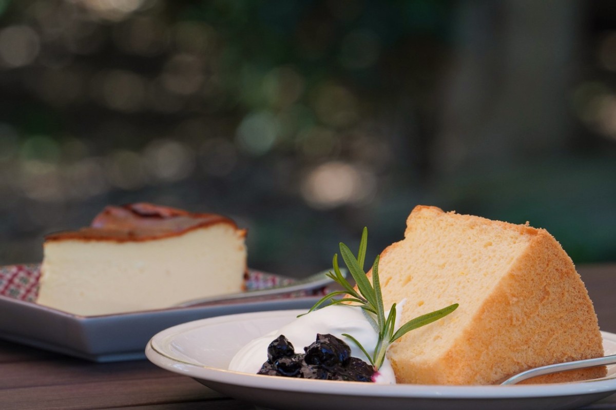 椿の森の緑を背景に、屋外のテーブルに置かれたシフォンケーキとチーズケーキ