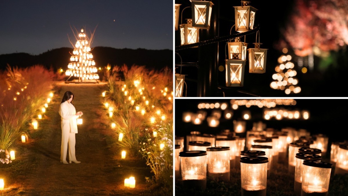 広島県世羅町の世羅高原キャンドルナイトの過去開催時の様子