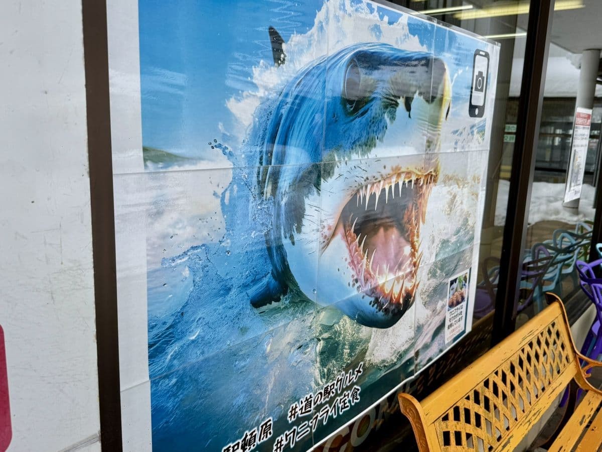 道の駅とんばらに貼られていたサメのポスター