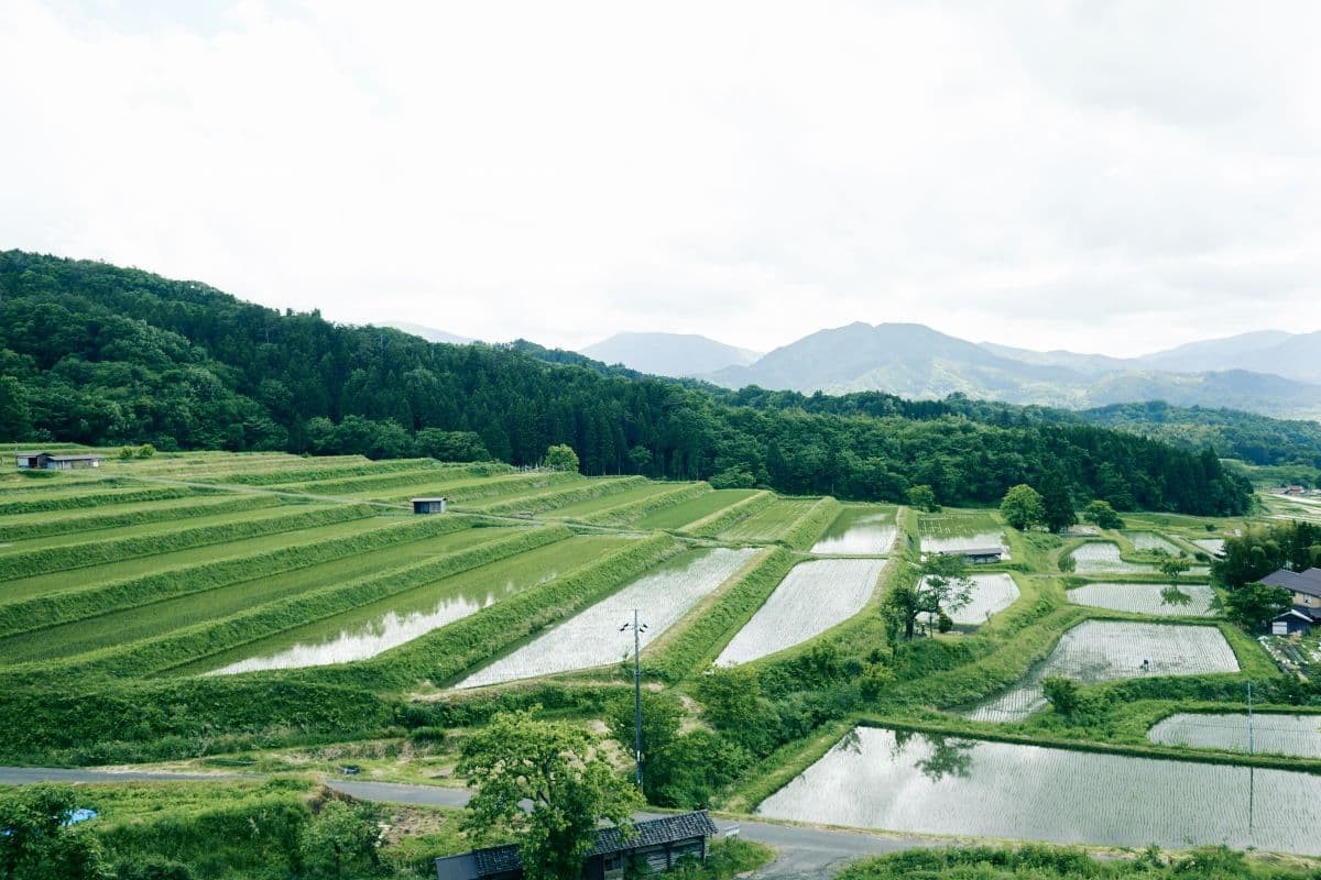 島根県奥出雲町にある大原新田の景観