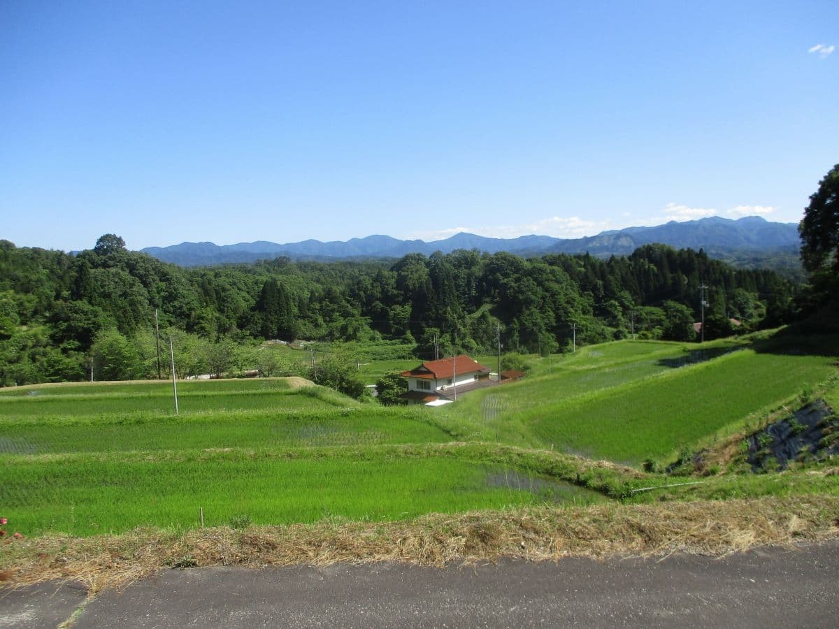 島根県奥出雲町にあるいわけ棚田の景観