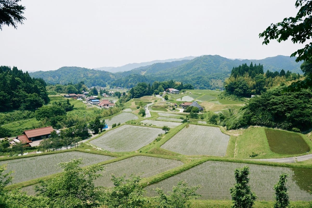 島根県奥出雲町にある追谷棚田の景観