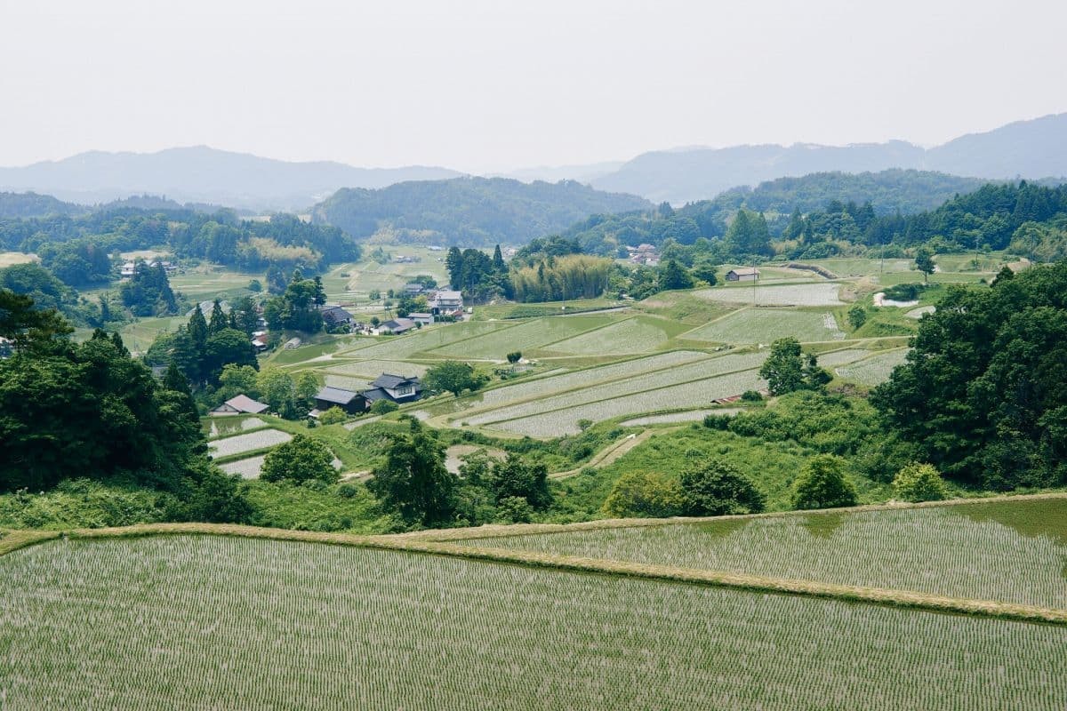 島根県奥出雲町にある福頼棚田の景観