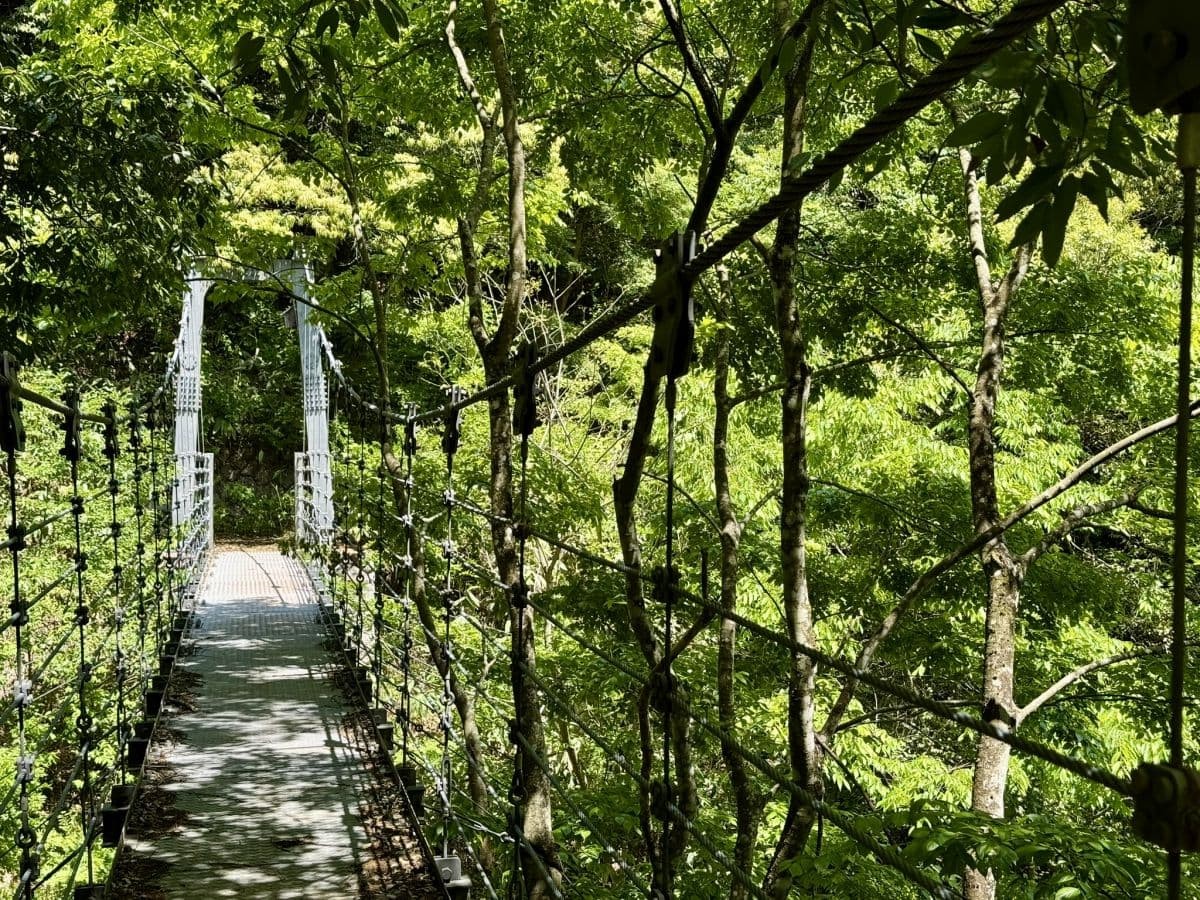 吊り橋