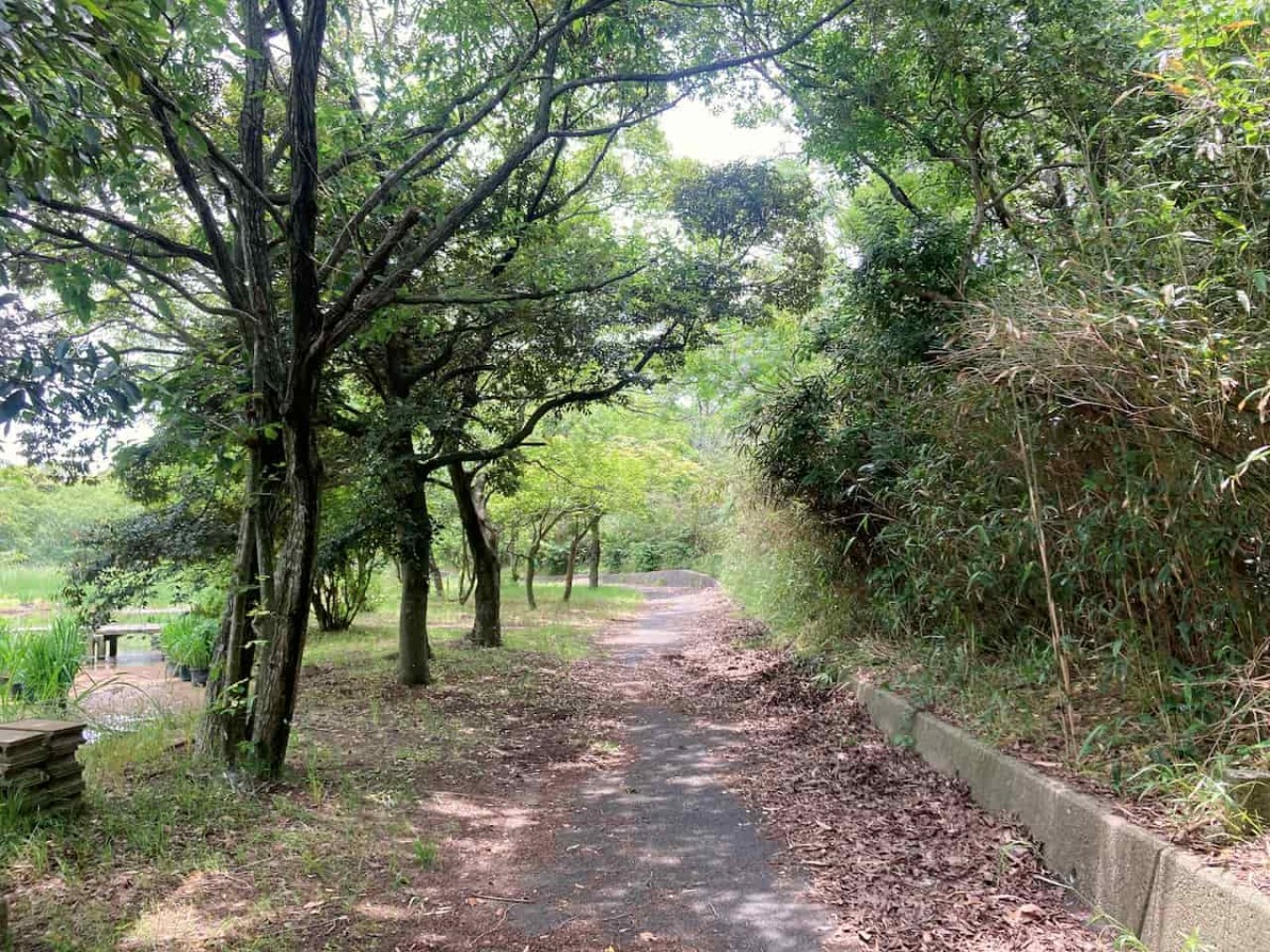 島根県出雲市にある『浜游自然観察広場』の様子