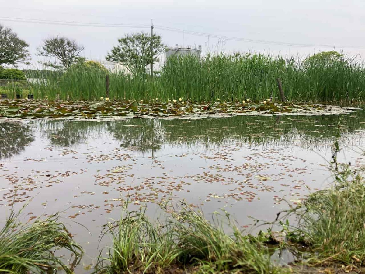 島根県出雲市にある『浜游自然観察広場』の様子