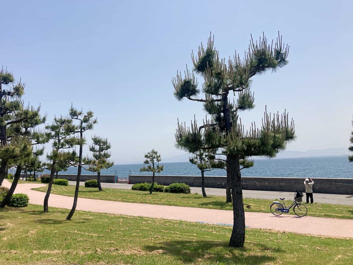 鳥取県境港市にある「夢みなと公園」の様子