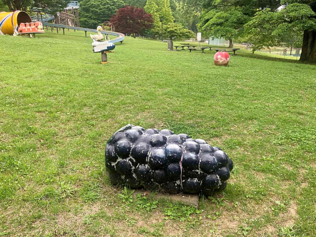 鳥取県八頭郡八頭町にある『八東総合運動公園』「子どもの丘」の遊具