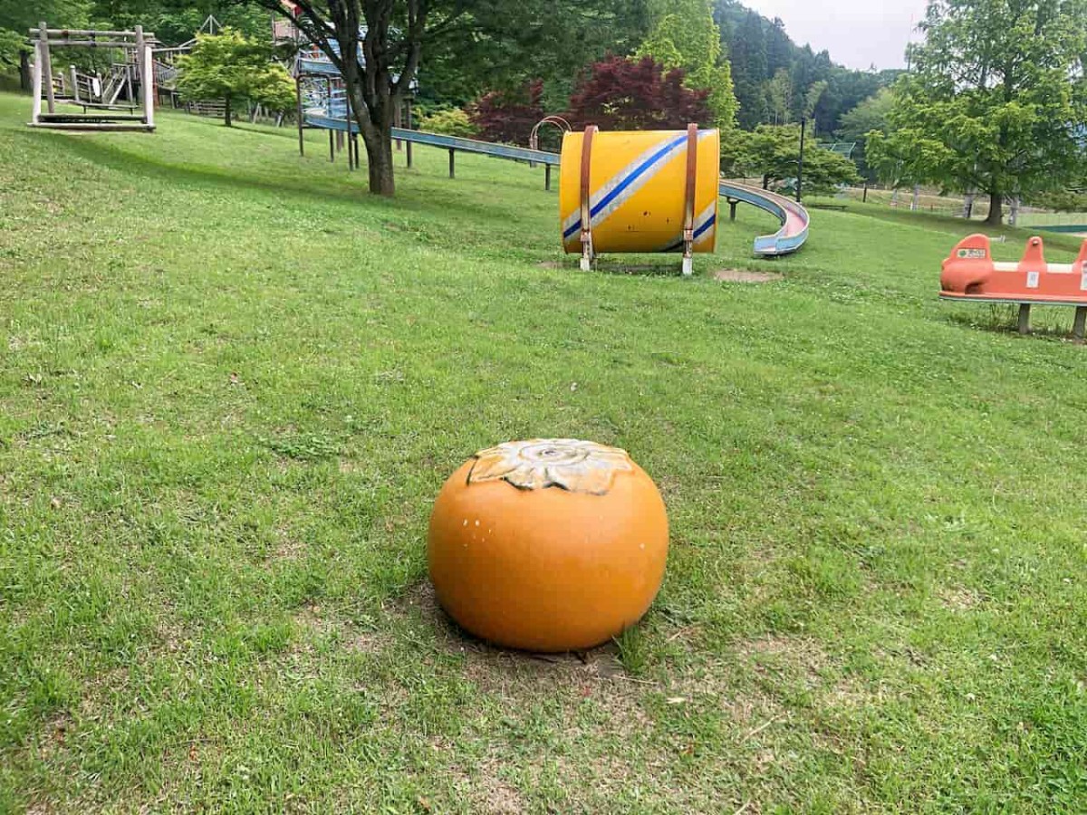 鳥取県八頭郡八頭町にある『八東総合運動公園』「子どもの丘」の遊具