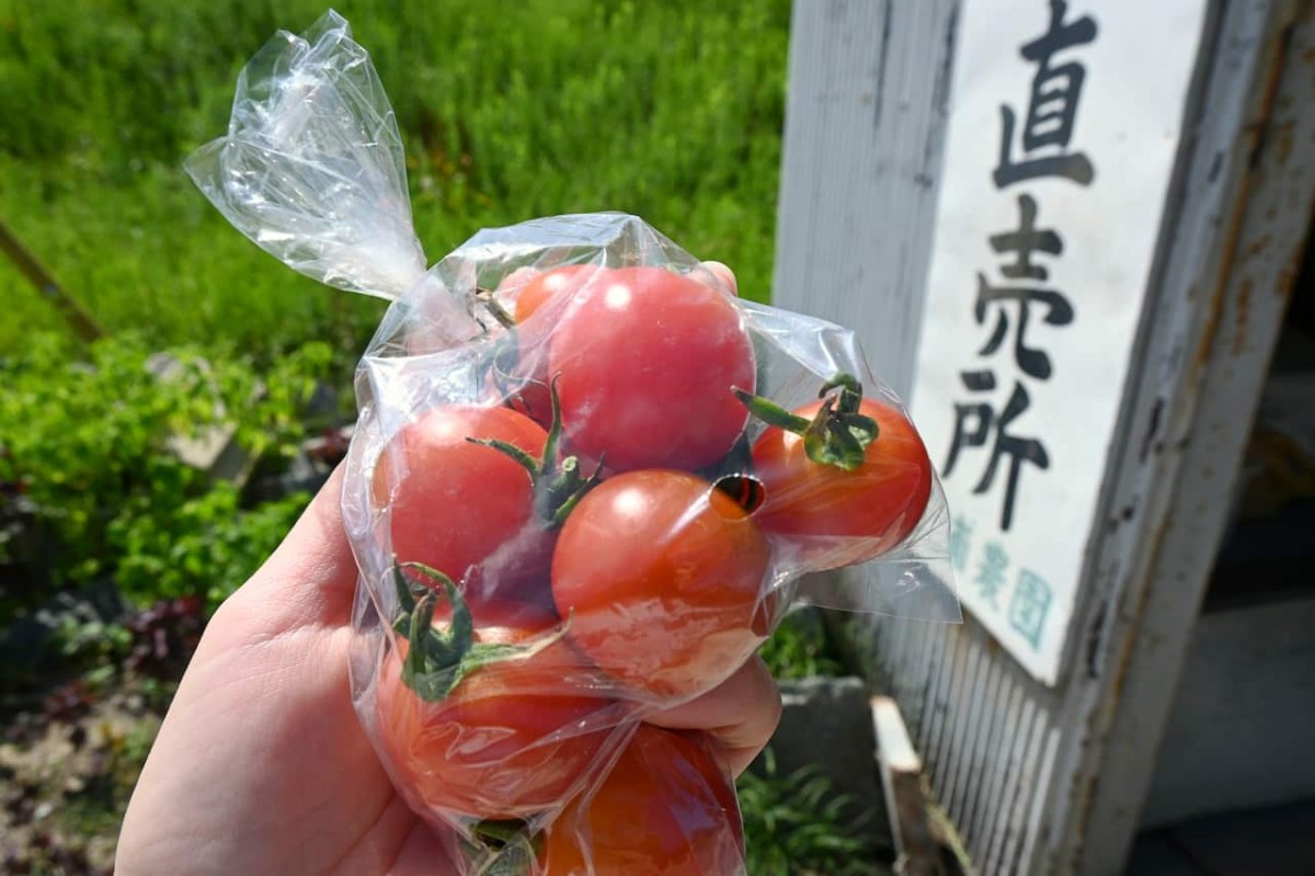 島根県益田市にある『三浦農園 野菜販売所』で購入したトマト