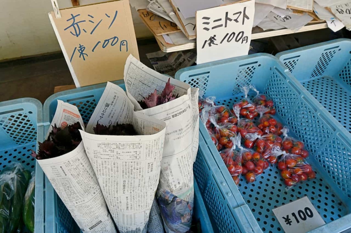 島根県益田市にある『三浦農園 野菜販売所』で販売されていたシソ