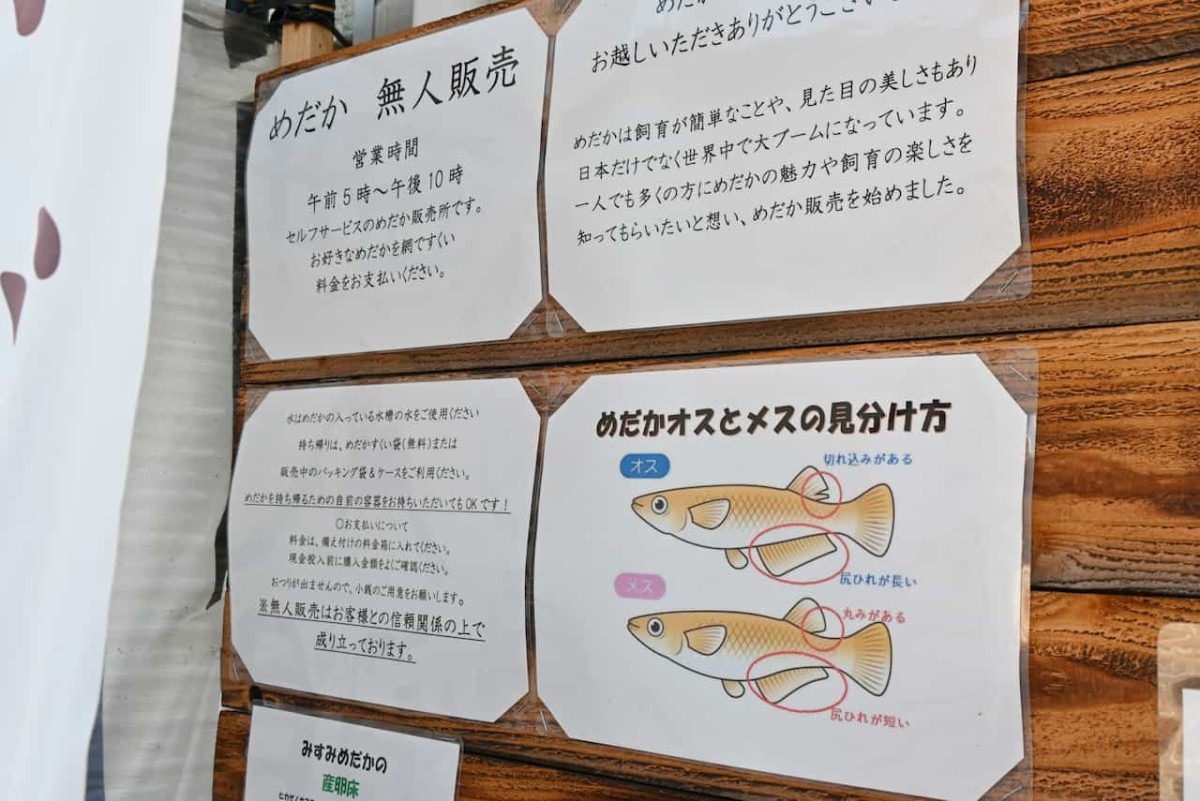 島根県益田市の『みすみめだか益田無人販売所』にあった説明書き