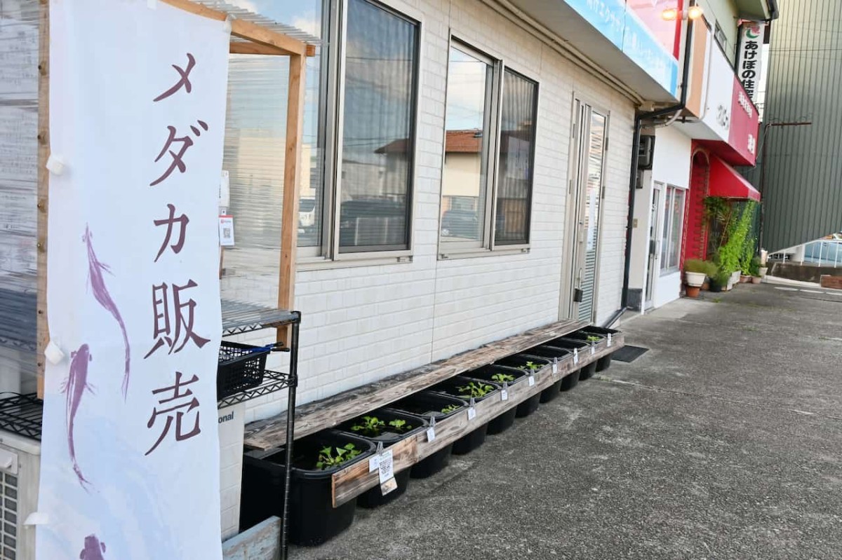 島根県益田市にある『みすみめだか益田無人販売所』の外観