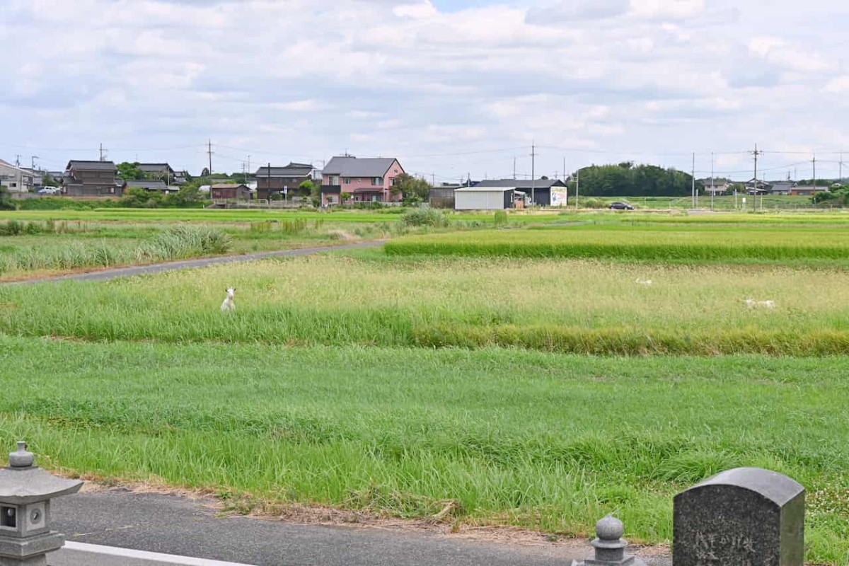 鳥取県米子市淀江町にある『今津海岸』付近の様子