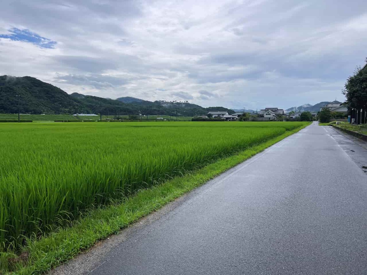 島根県安来市の『安来節演芸館』周辺の景色