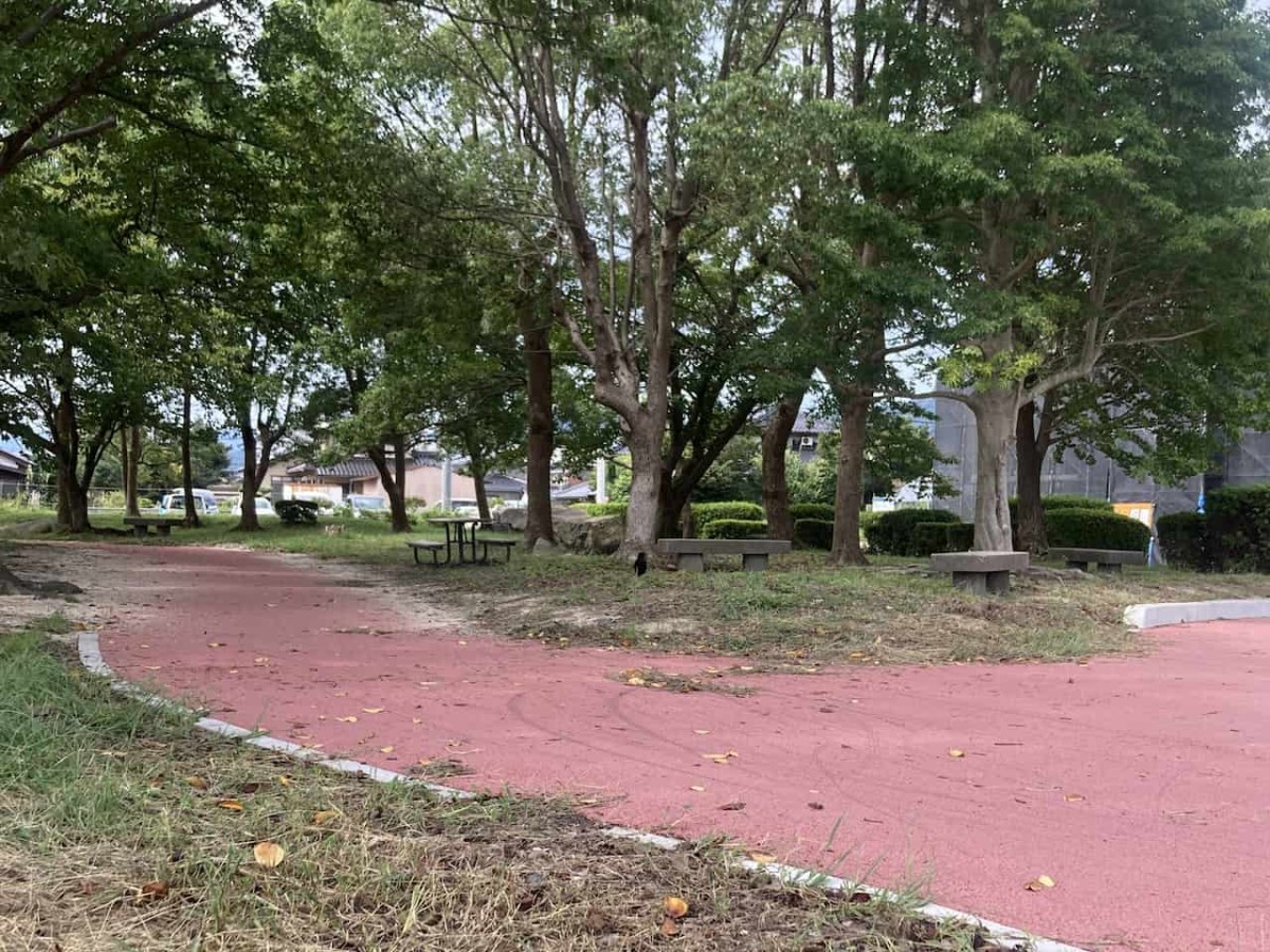 鳥取県境港市にある『境中央公園』の様子