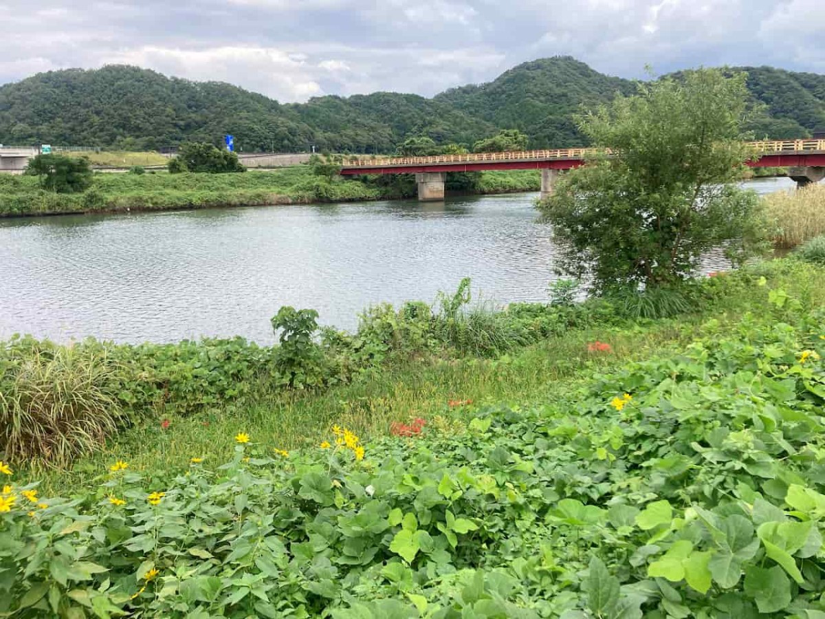 鳥取県岩美郡岩美町にある『三角芝生広場』