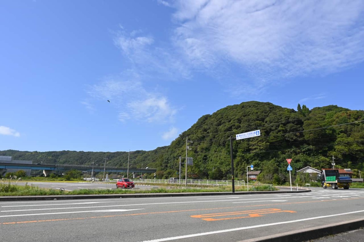 鳥取県鳥取市青谷町にあるコスモス畑