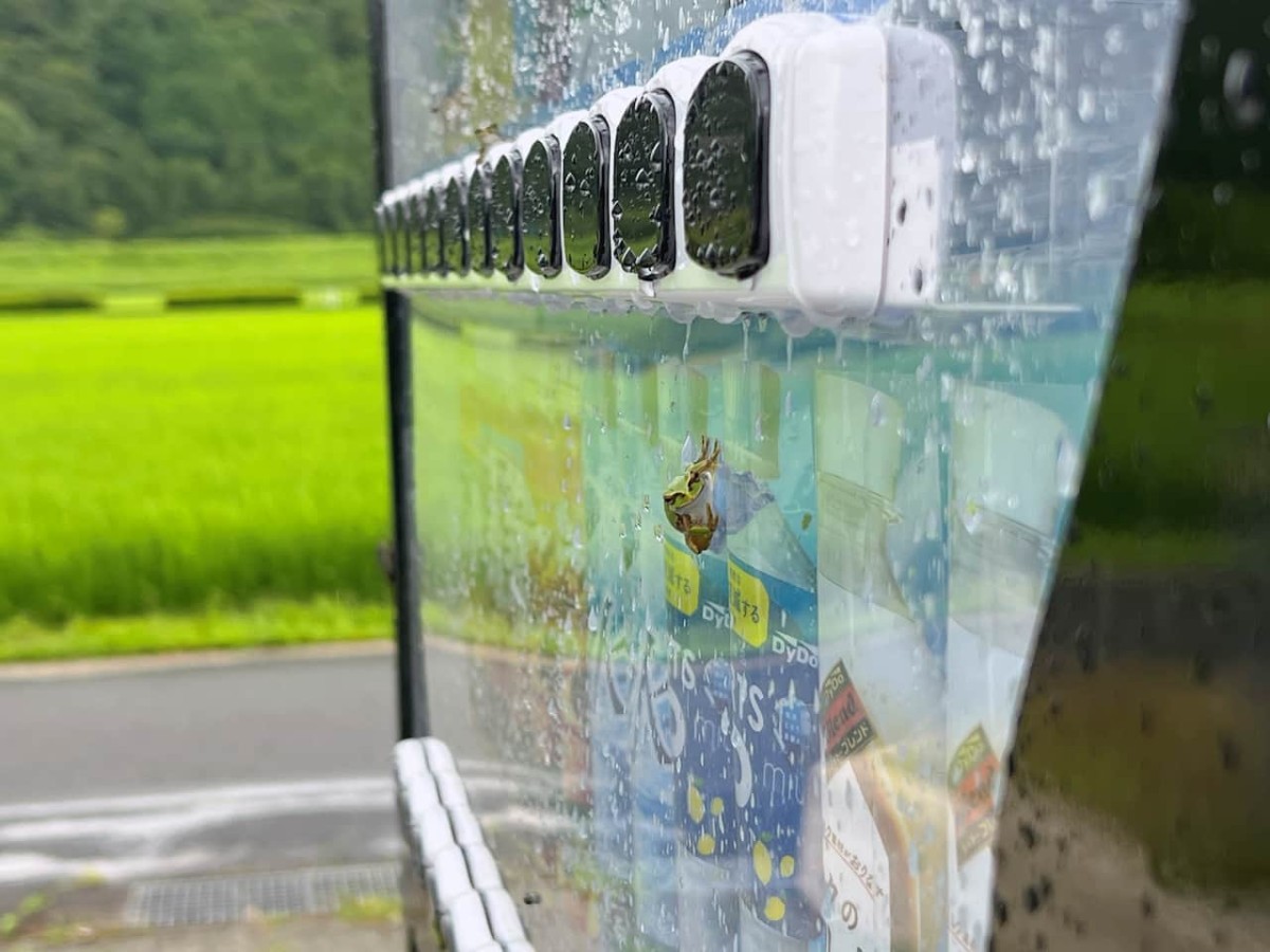 島根県安来市の『安来節演芸館』に設置してあるしゃべる自販機