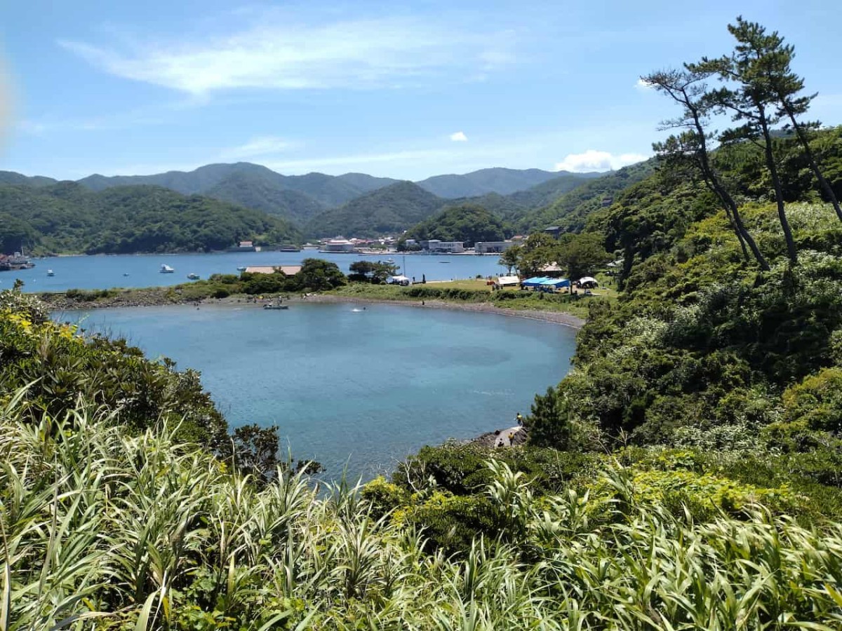 島根県松江市にある桂島キャンプ場の全景