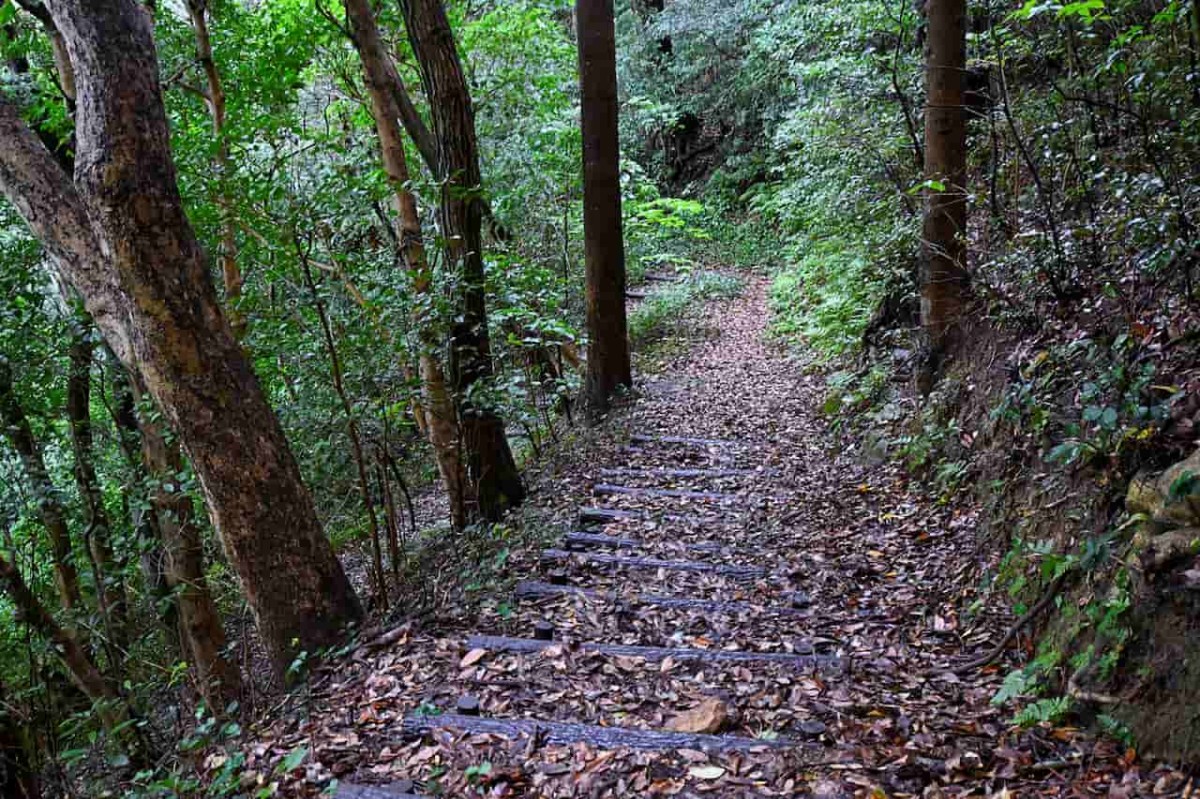 島根県安来市にある『十神山なぎさ公園』