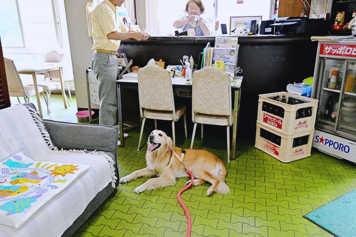 鳥取県西伯郡大山町にあるペットと泊まれる宿『大山ユートピア』の様子