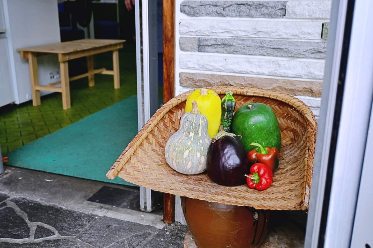 鳥取県西伯郡大山町にあるペットと泊まれる宿『大山ユートピア』の玄関前