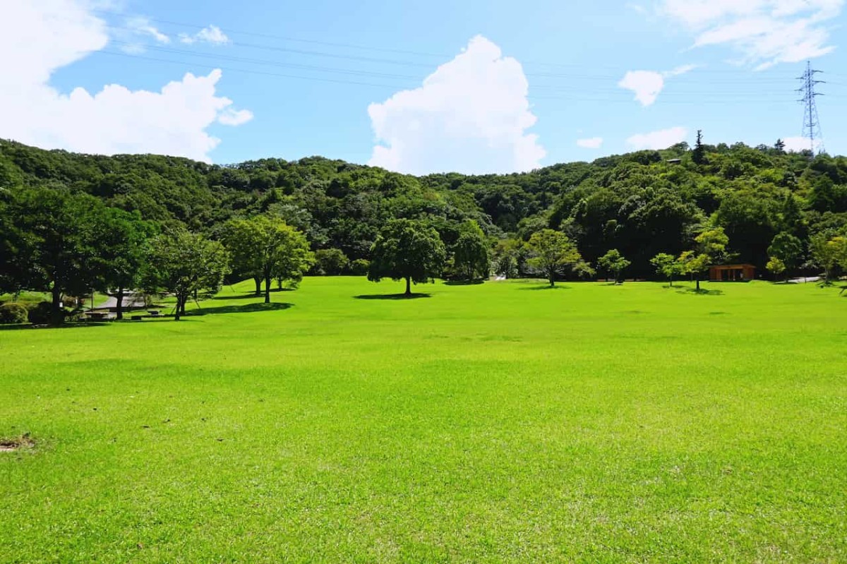 鳥取県鳥取市にある『森林公園 とっとり出合いの森』の「出合いの広場」