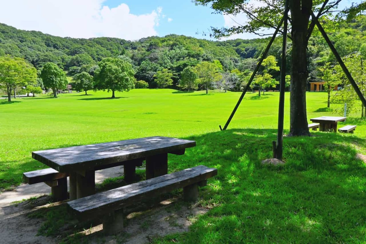 鳥取県鳥取市にある『森林公園 とっとり出合いの森』の「出合いの広場」