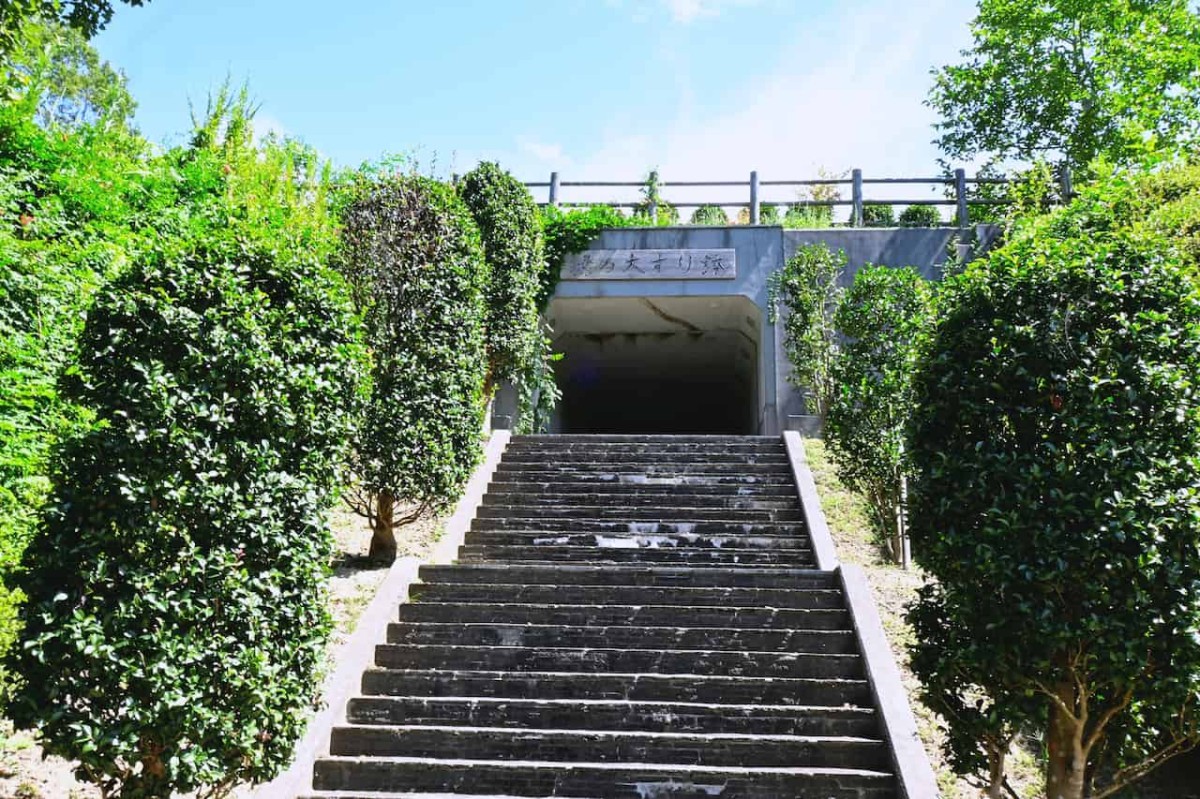 鳥取県鳥取市にある『森林公園 とっとり出合いの森』の「緑の大すり鉢」