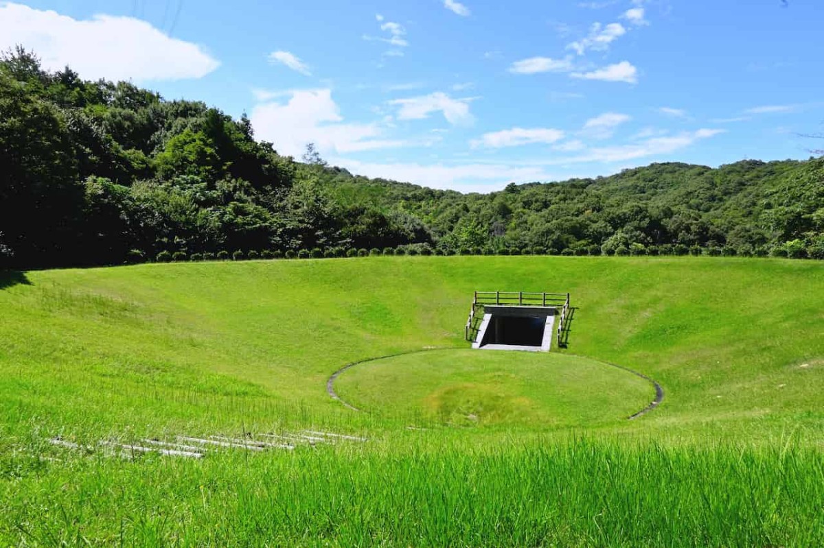 鳥取県鳥取市にある『森林公園 とっとり出合いの森』の「緑の大すり鉢」