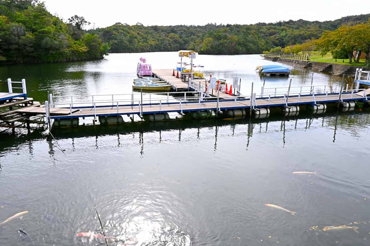 島根県益田市にある『蟠竜湖県立自然公園』のボート乗り場