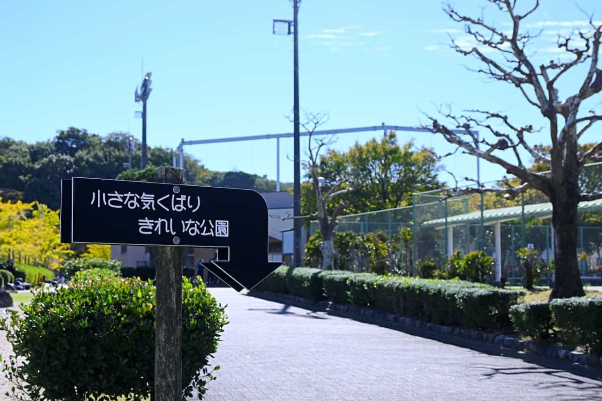 島根県出雲市にある『湖陵総合公園』の様子