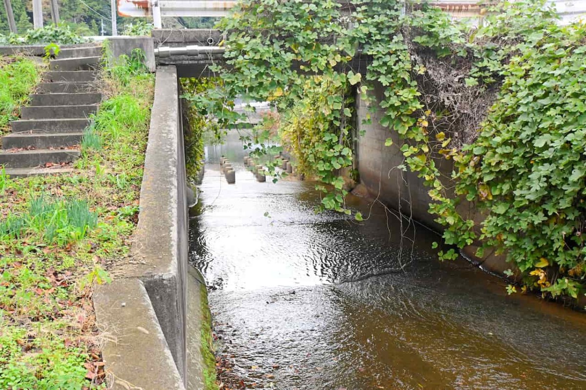 島根県松江市にある『さいのかみ公園』の様子