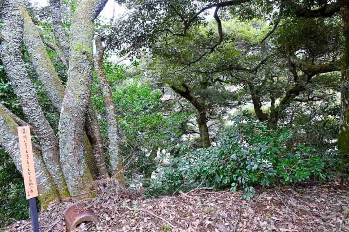 鳥取県鳥取市の吉岡温泉にある『秋葉公園』の様子