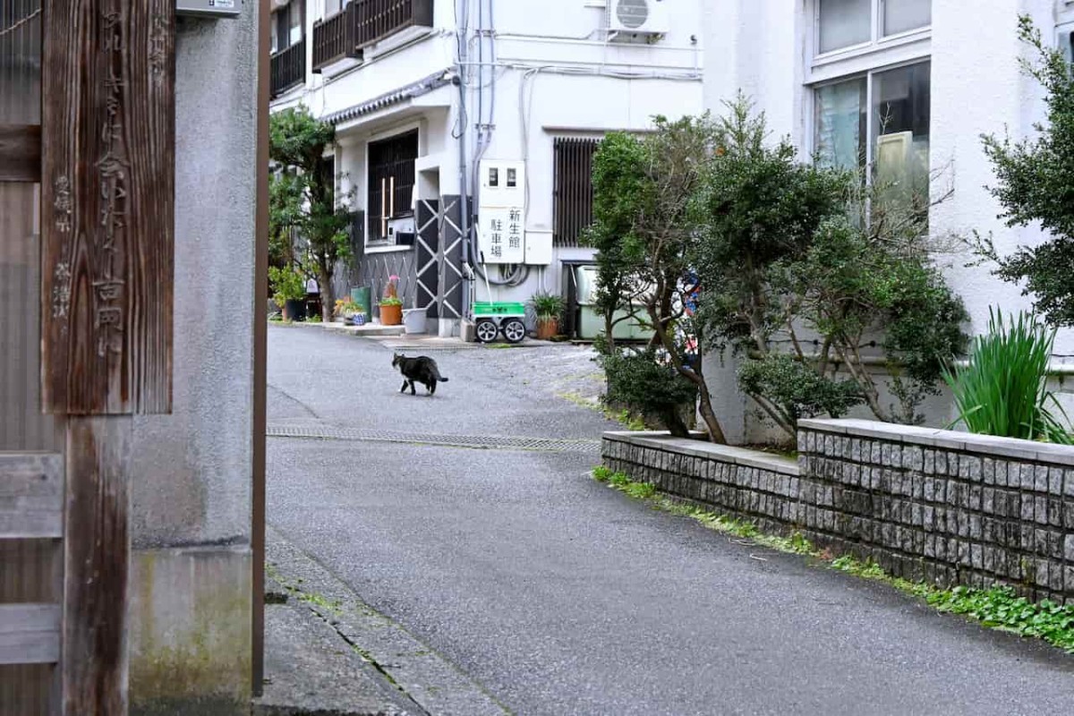 鳥取県鳥取市にある吉岡温泉の様子