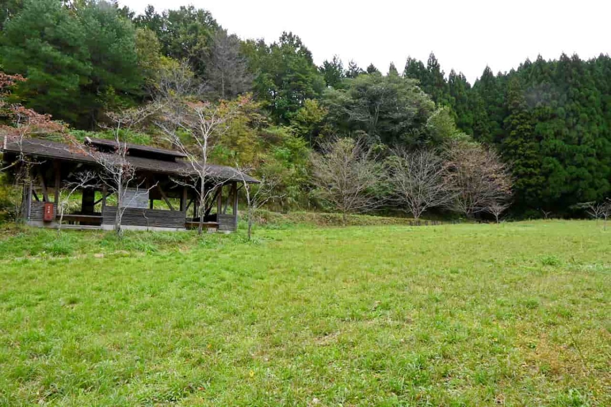 鳥取県南部町にある「ミステリースクエア―」周辺の芝生