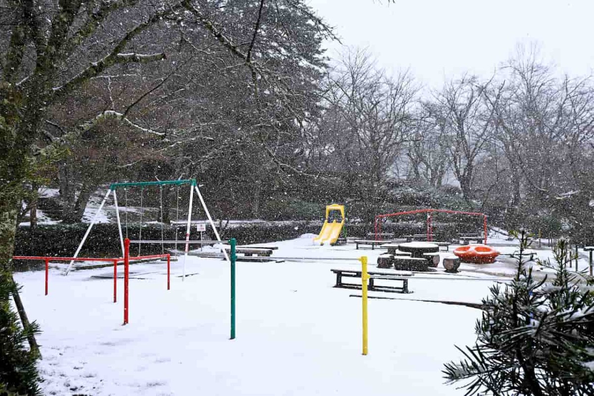 鳥取県倉吉市にある『打吹公園』の冬の様子