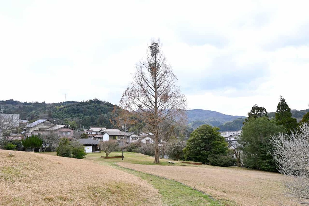 島根県松江市にある『出雲玉作史跡公園』の自然景観