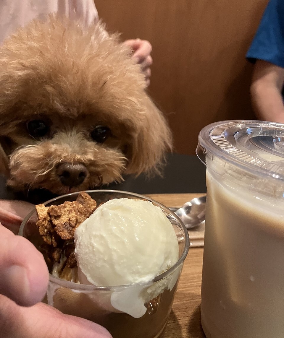 島根県出雲市大社町に移転した自家焙煎コーヒー店『BLANKS』の店内の様子