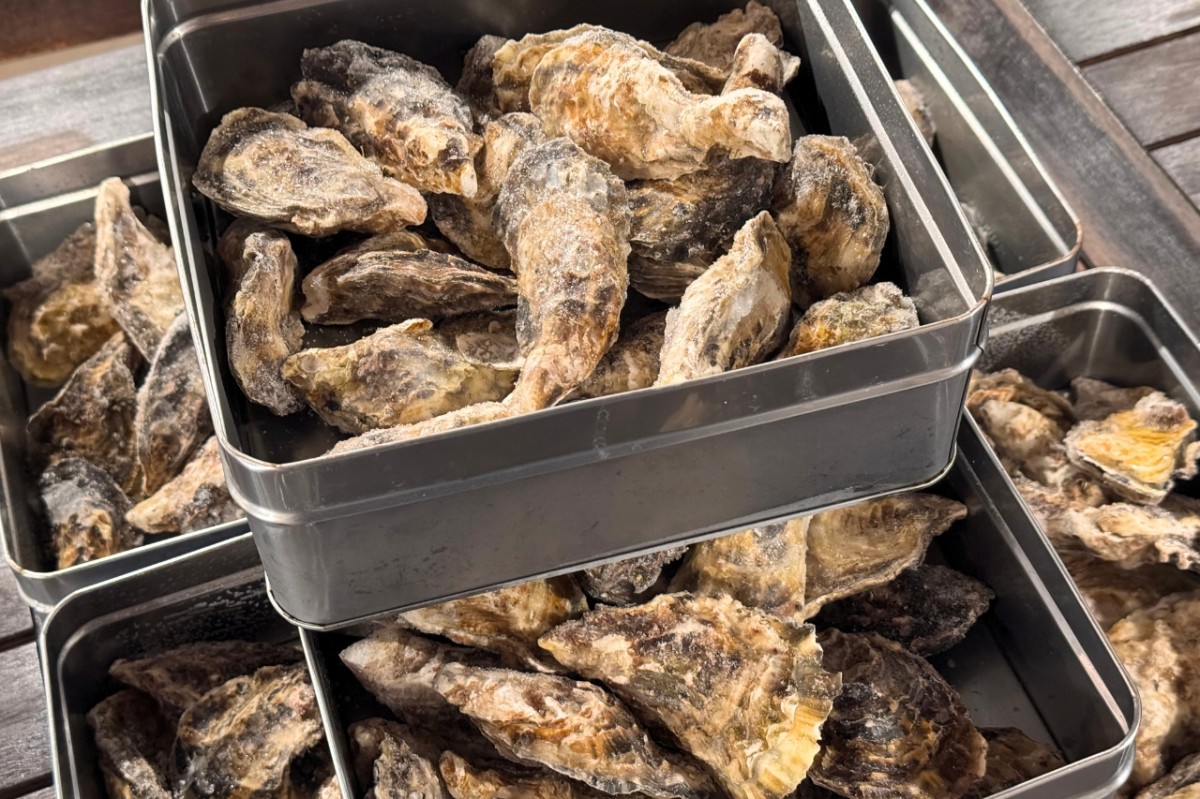 島根県出雲市『ラピタ本店』屋上で開催されている「星空ガーデン」の海鮮