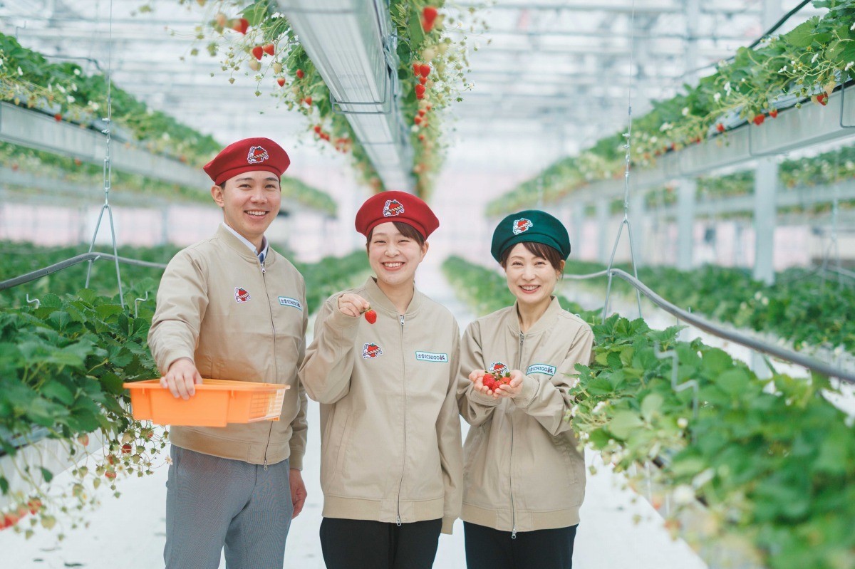 島根県出雲市のおすすめいちご狩りスポット『出雲ICHIGO縁』の園内の様子
